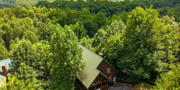 Image 2: 49-4523-Forest-Vista-Way-Pigeon-Forge-TN