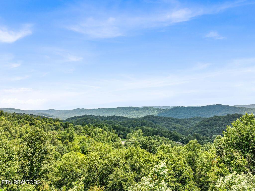 Image 2: DJI_20260729122611_0070_D