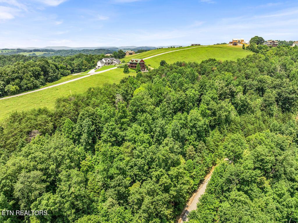 Image 3: DJI_20260729122629_0073_D