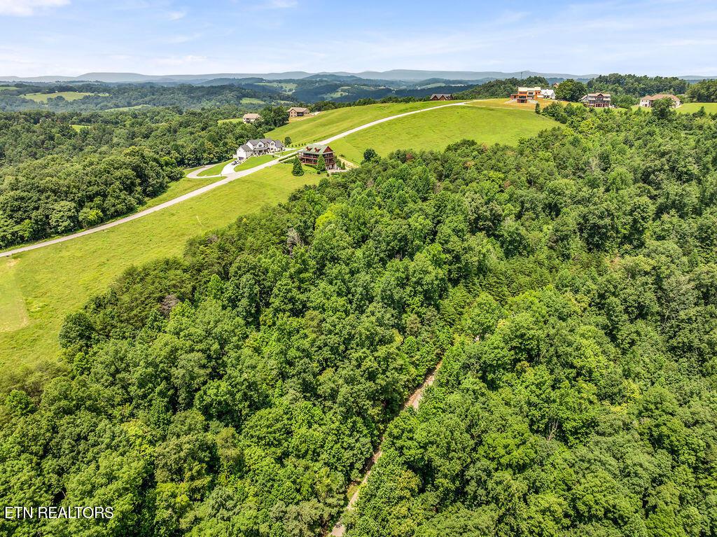 Image 4: DJI_20260729122640_0076_D