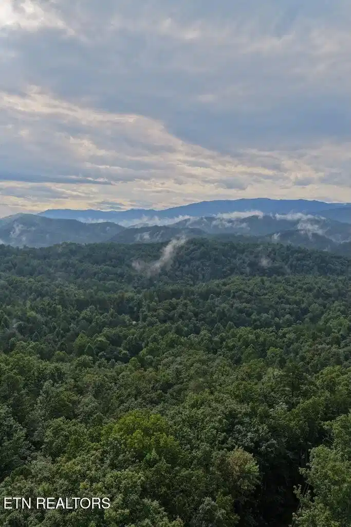 Image 1: Between Lot 26 & 44 Mountain view with C