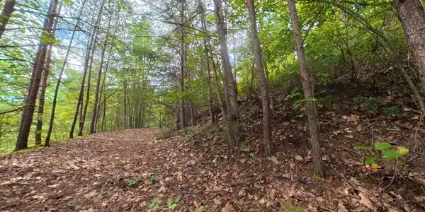 Image 4: Lot 44 on the right of road