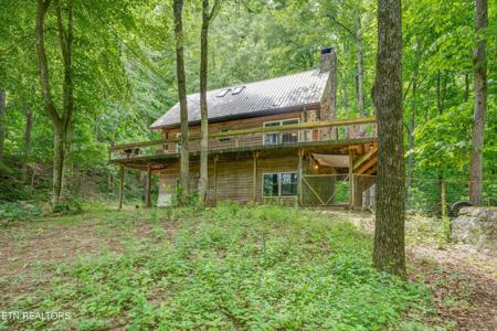 56 TIMBER RIDGE