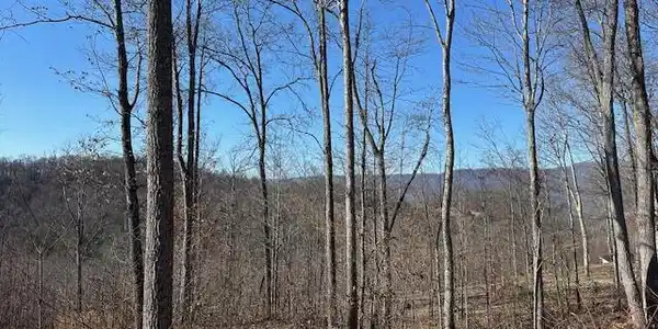 Dooley Hollow Rd