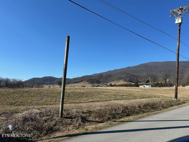 Image 2: IMG_8449