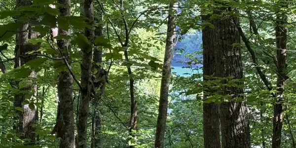 Lot 74, Norris Shores Drive