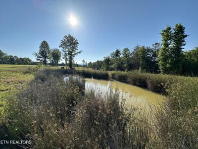 Lot 7 Curtis Rd