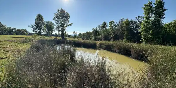 Lot 7 Curtis Rd