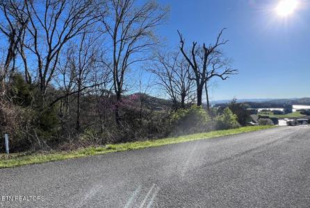 lot 356R Larayne Hollow Rd
