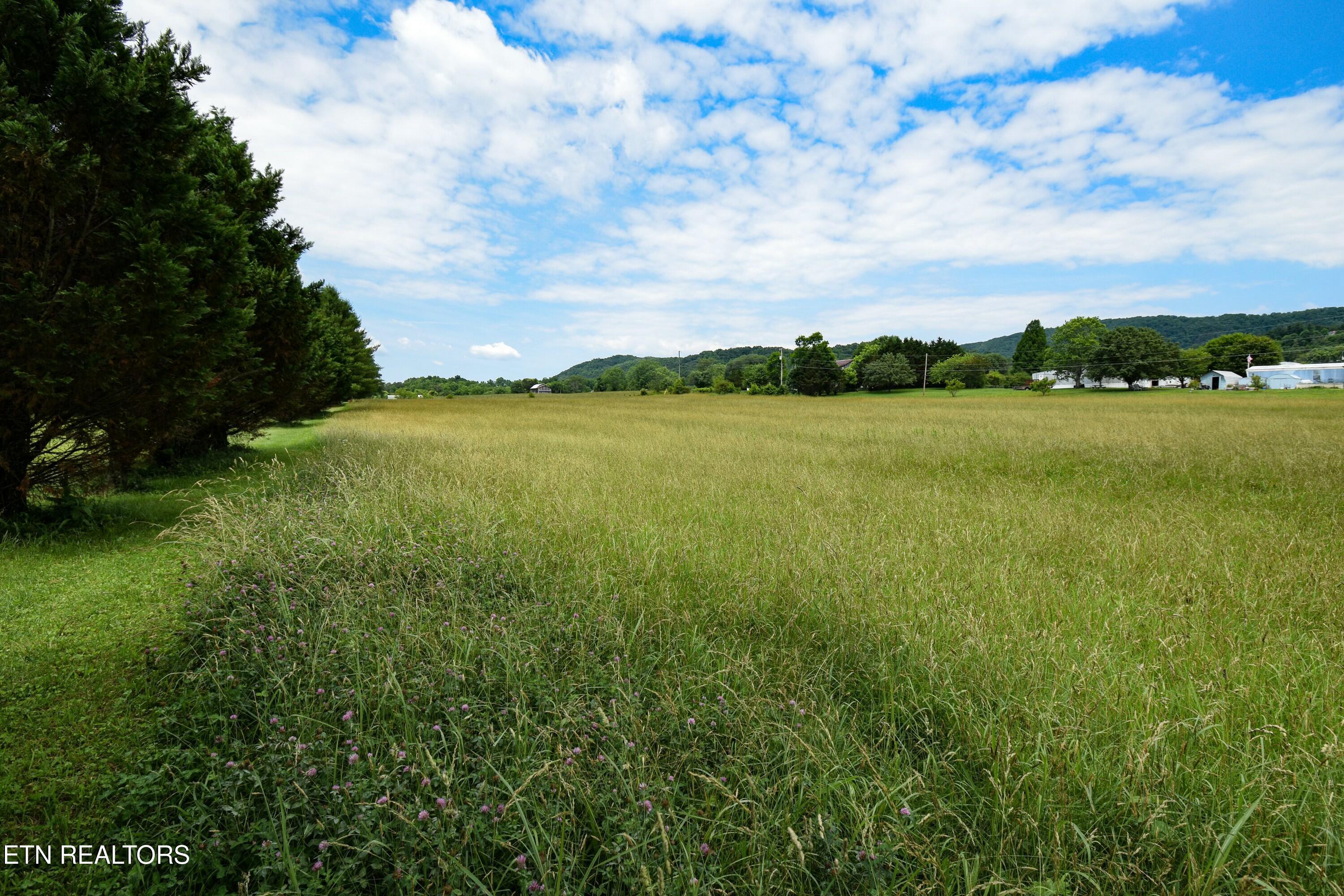 Image 3: 10055 Old Rutledge Pike 3