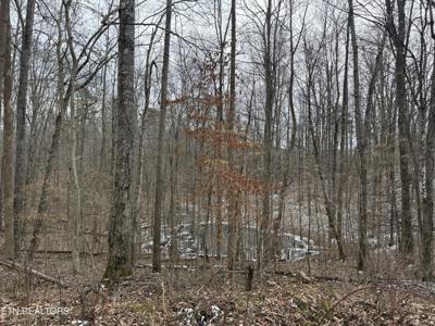 JONES RIDGE RD Rd