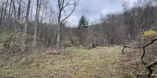 603 Sled Creek Rd