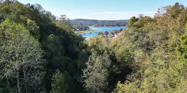 Image 2: View of the lake at tree level from the