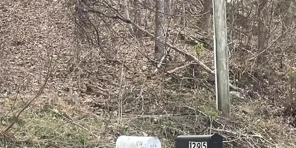 1295 Sussex Rd