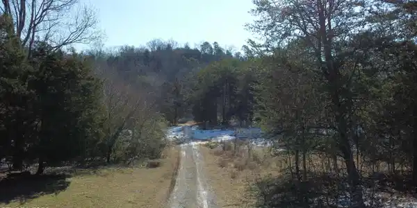 334 S Fork Branch Rd