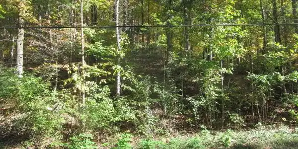 Long Acres