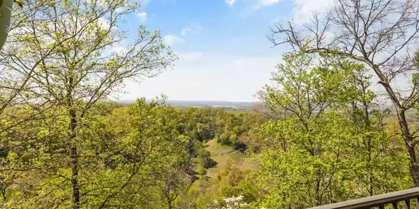 Image 3: 42-2278 Lower Rinehart Rd 038