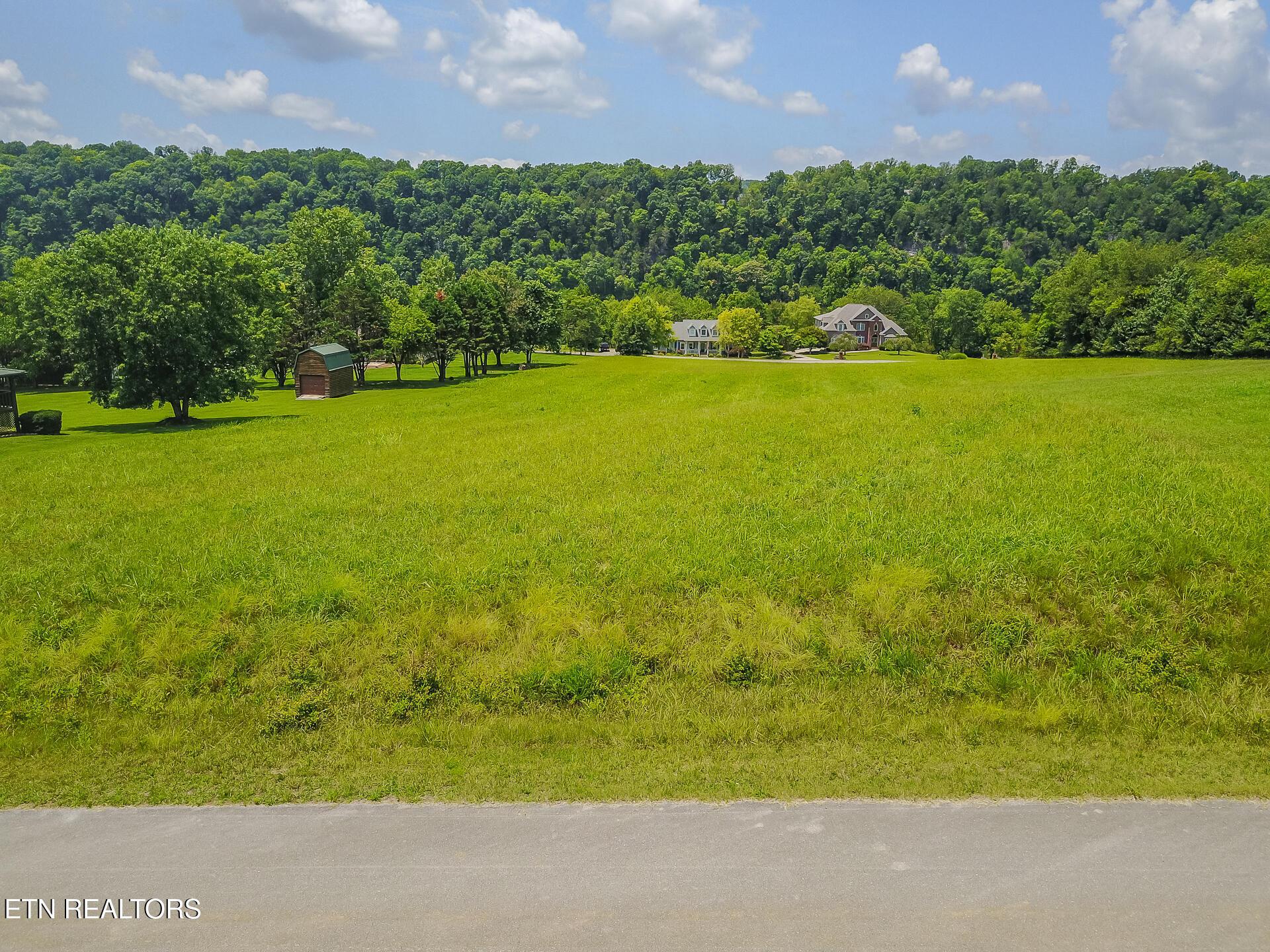 Image 4: Lot 113 Marble Bluff Dr-9
