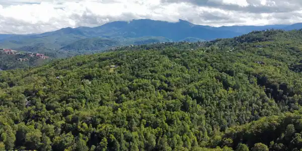 Image 2: dji_fly_20250925_145910_752_175882748498