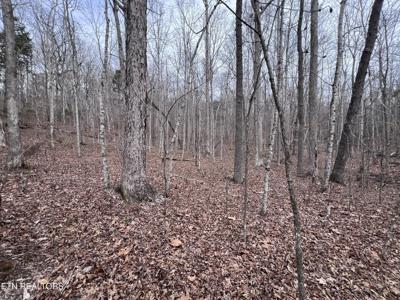 Buffalo Cove Lane