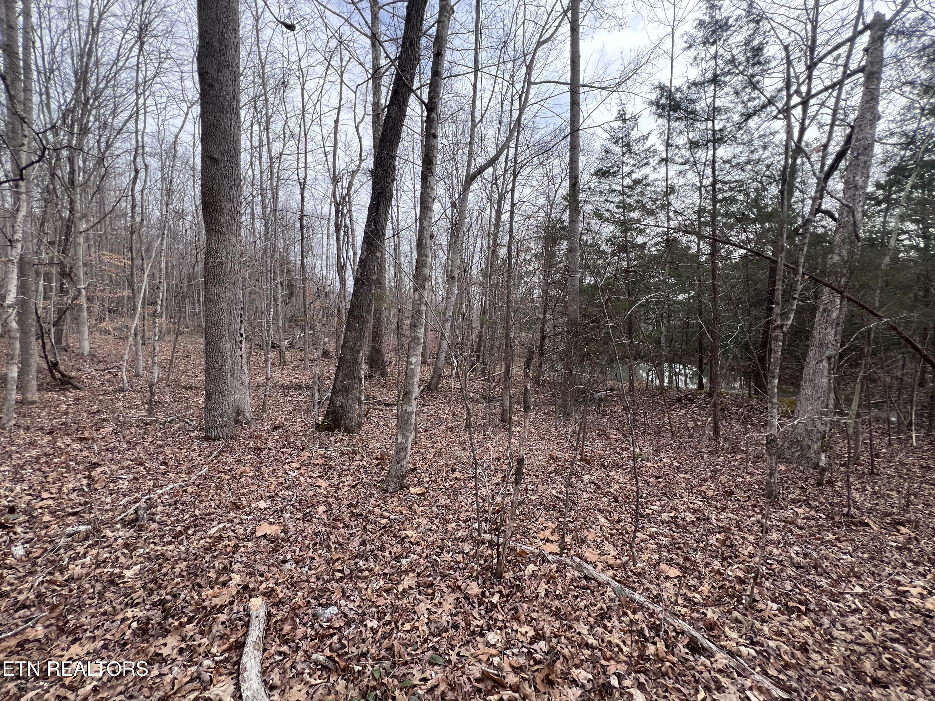 Image 3: IMG_6755