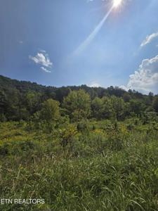 621 Butcher Valley Rd Rd