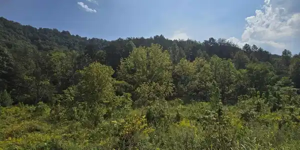621 Butcher Valley Rd Rd