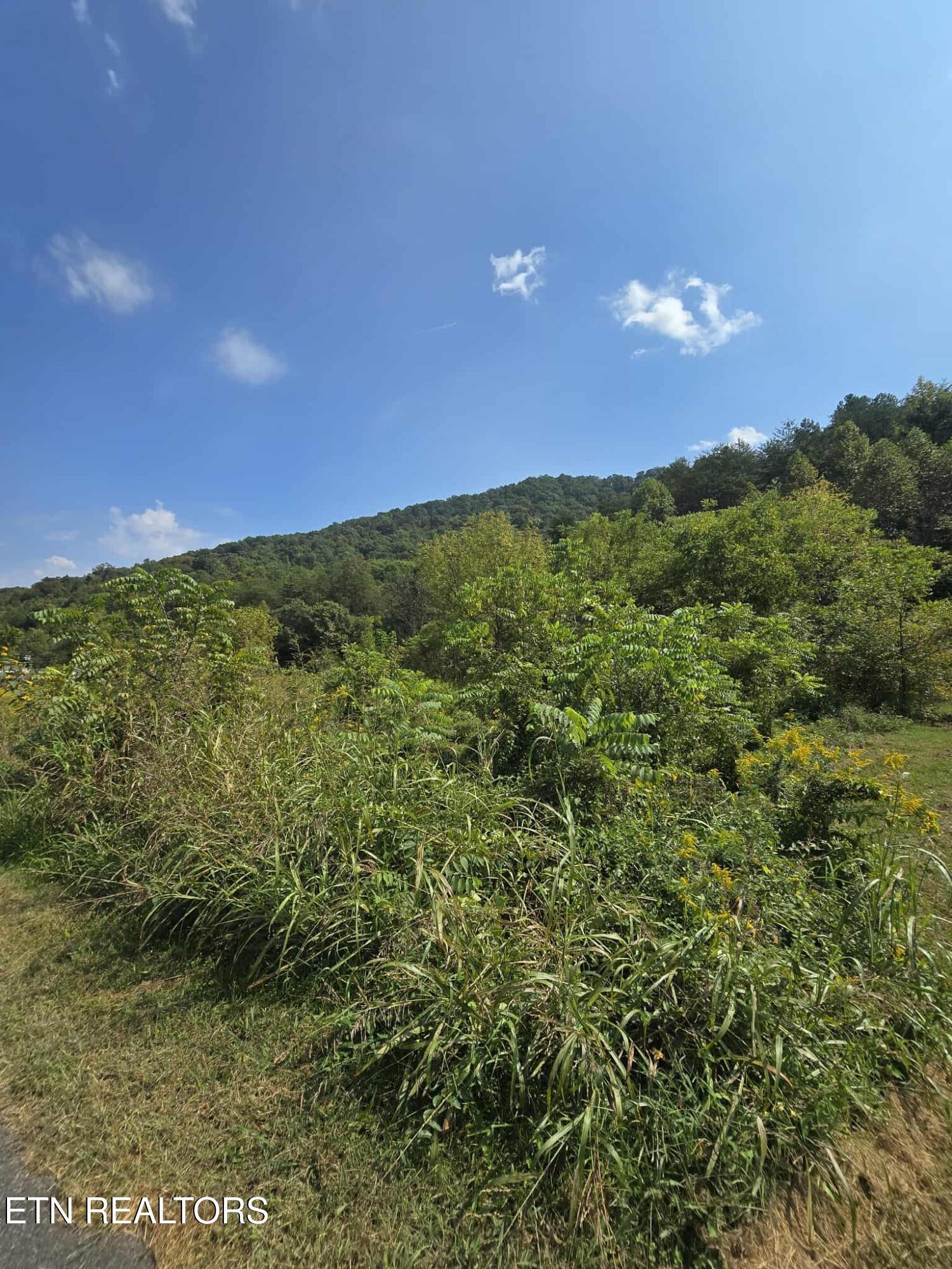 Image 3: 3d217026-14cf-4e5e-a4fe-030bd38d389d
