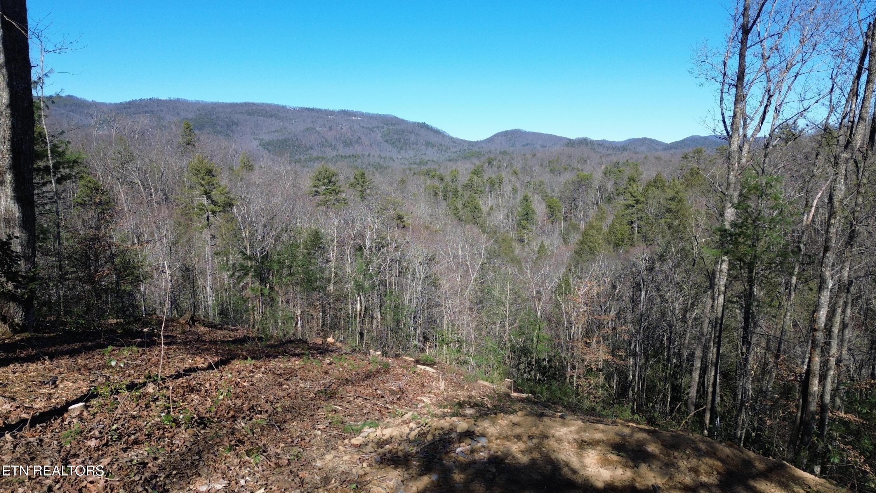 Image 1: Taylors Ridge