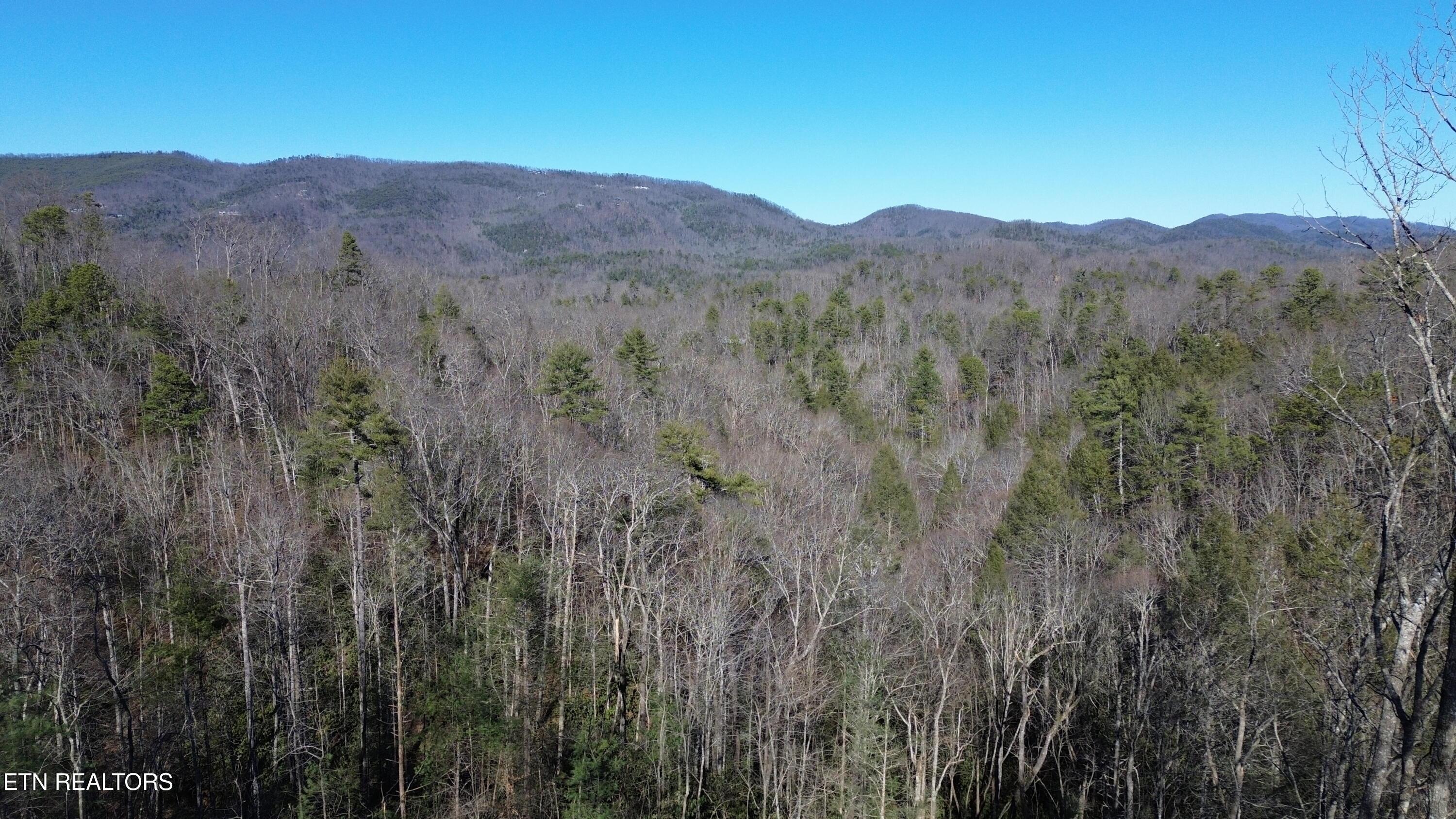Image 2: Taylors Ridge