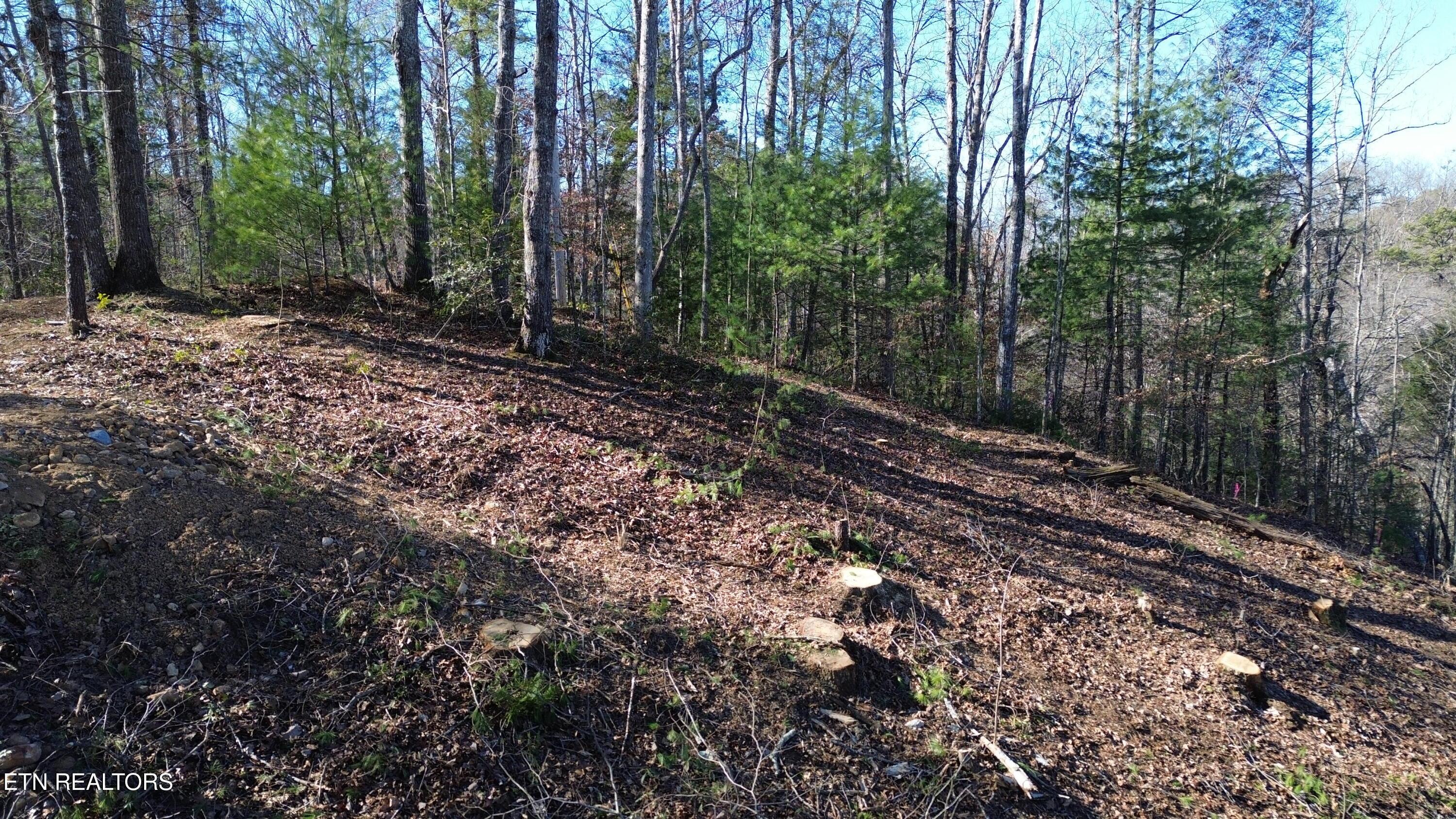 Image 3: Taylors Ridge