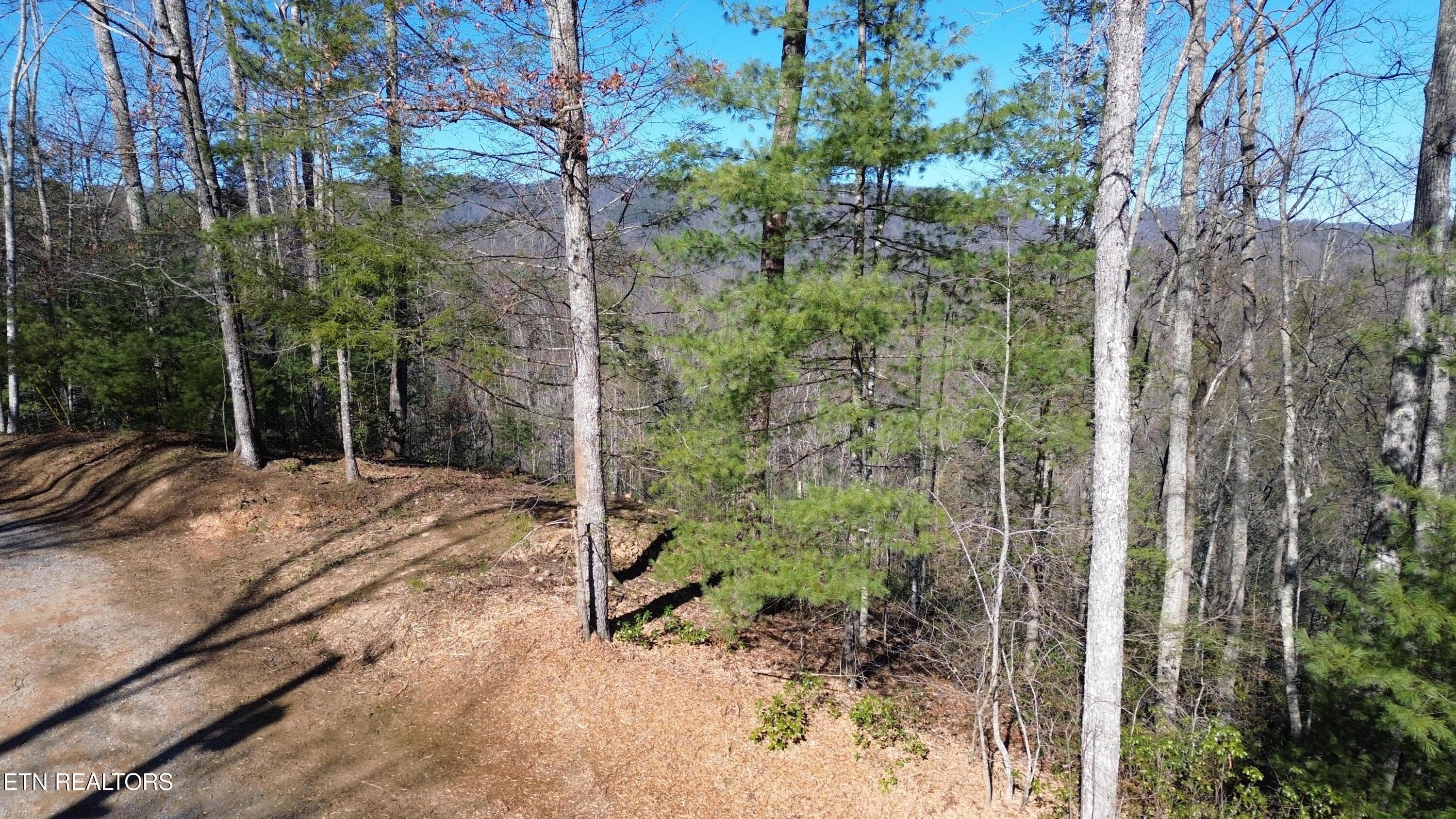 Image 4: Taylors Ridge