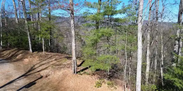 Image 4: Taylors Ridge