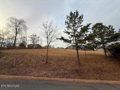 Shiloh Springs Rd