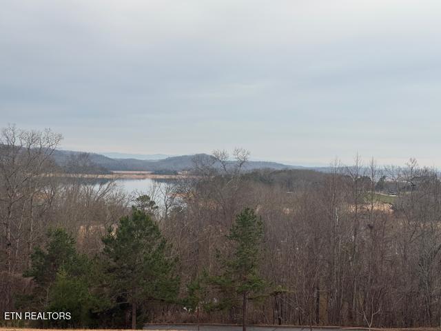 Image 3: view from top of lot