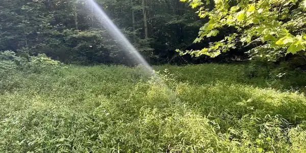 00 Jackson Ridge Rd