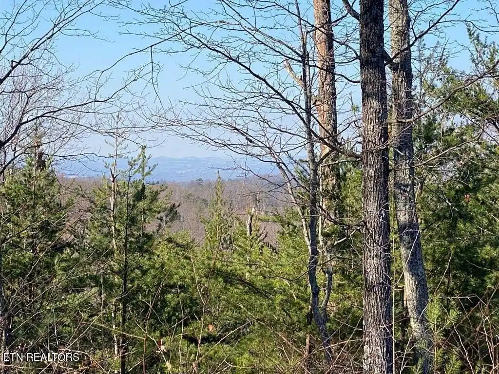 Image 1: English Springs Way Photo 12