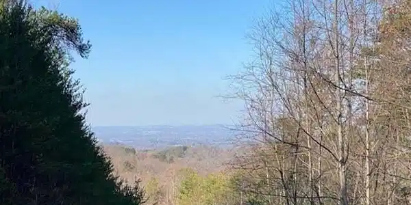 Image 2: English Springs Way Photo 1