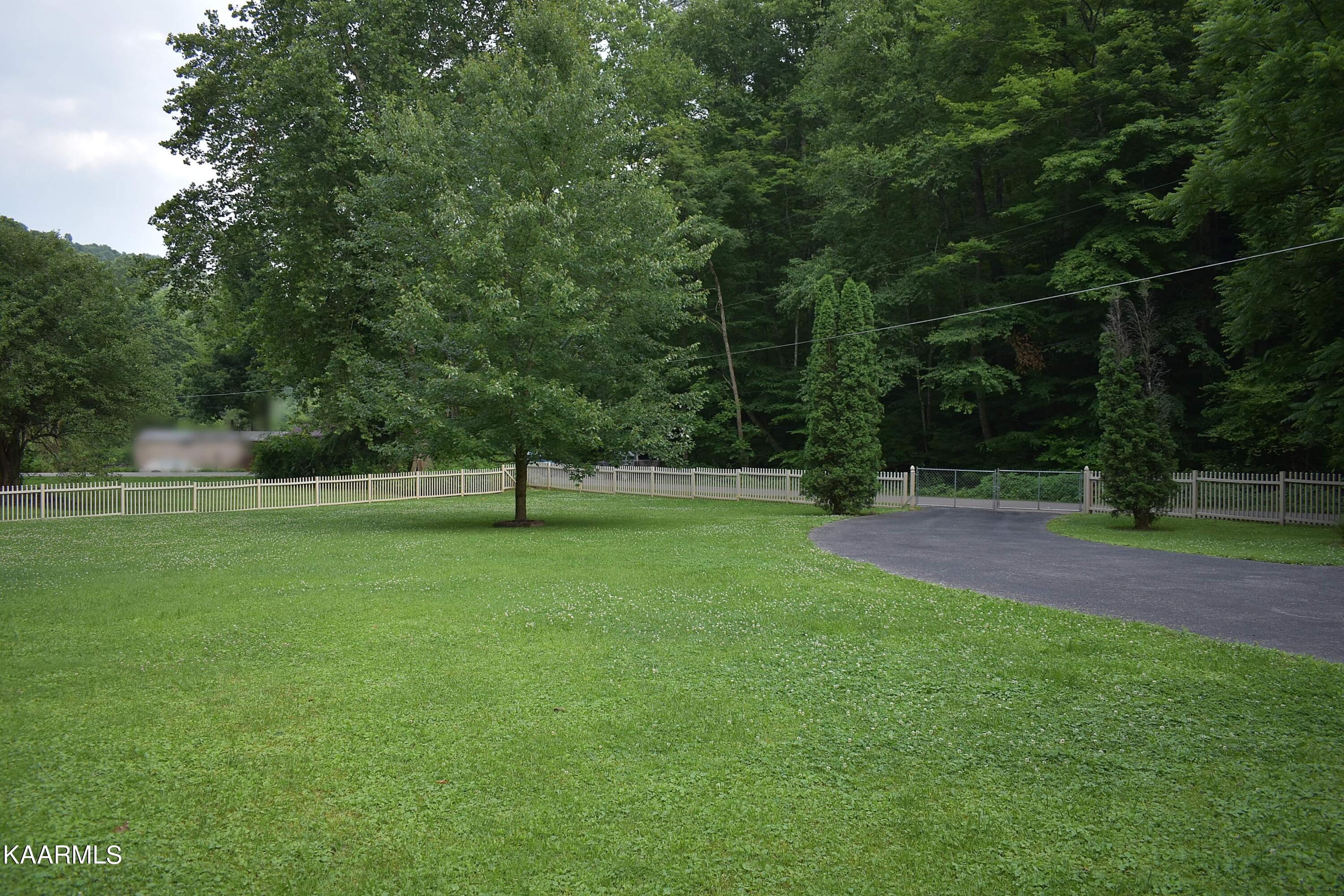 Image 4: IMG_2771