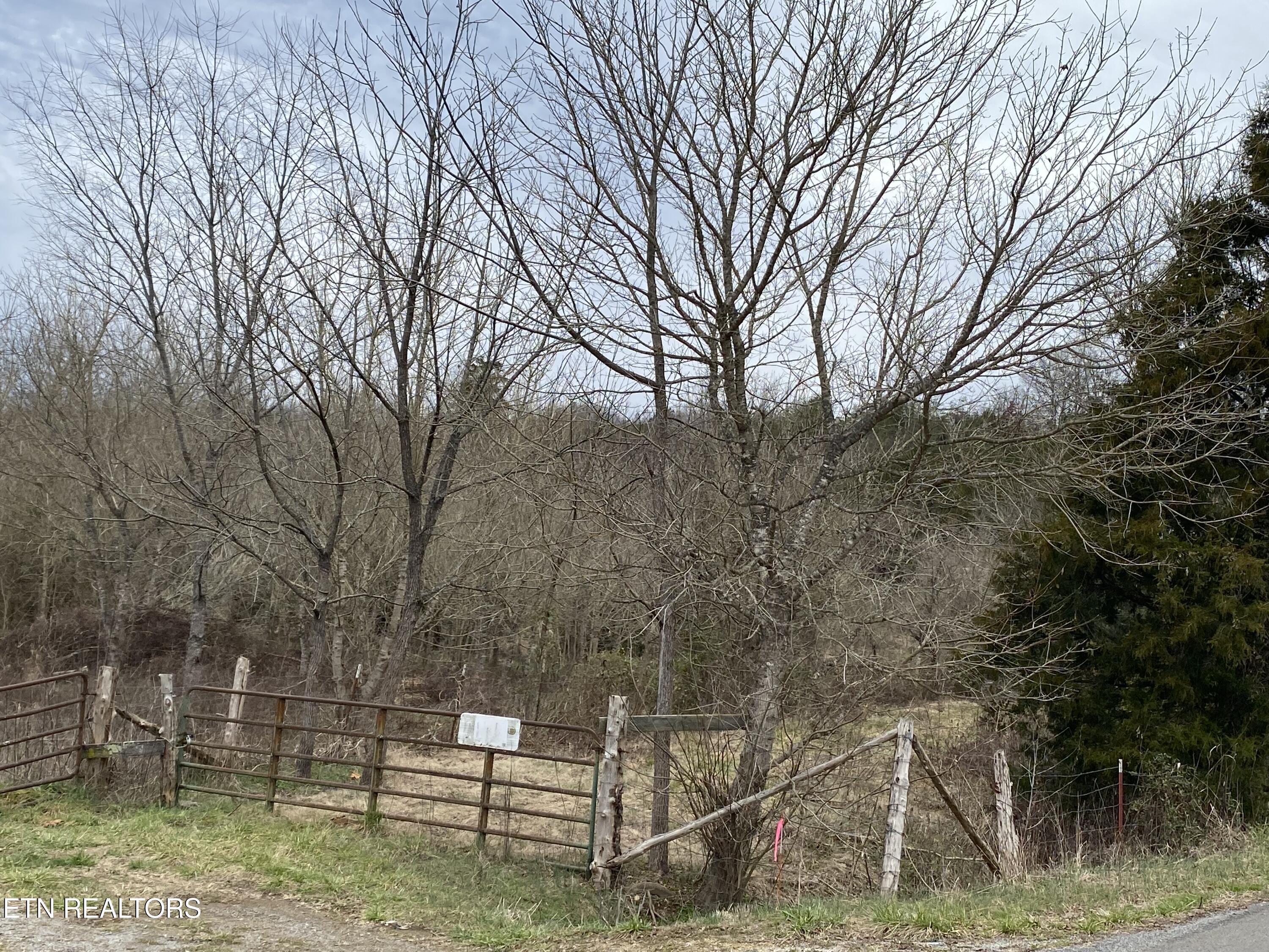 Image 2: IMG_4714