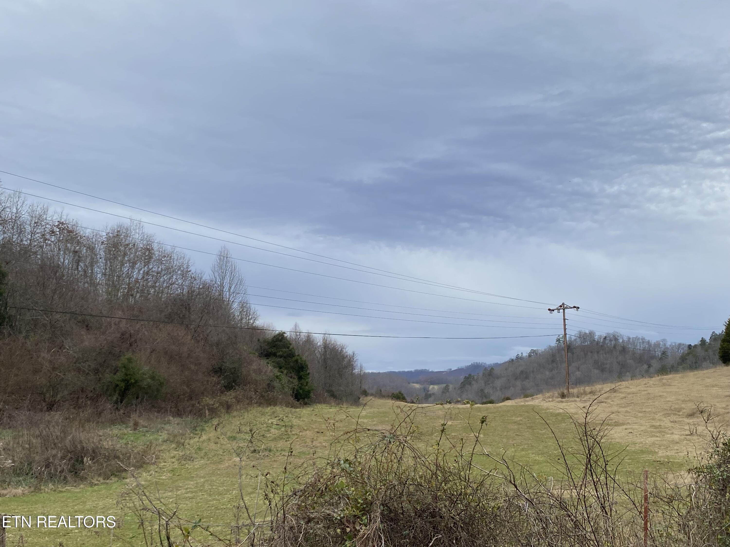 Image 4: IMG_4723