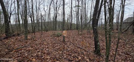772 Eastridge Pass