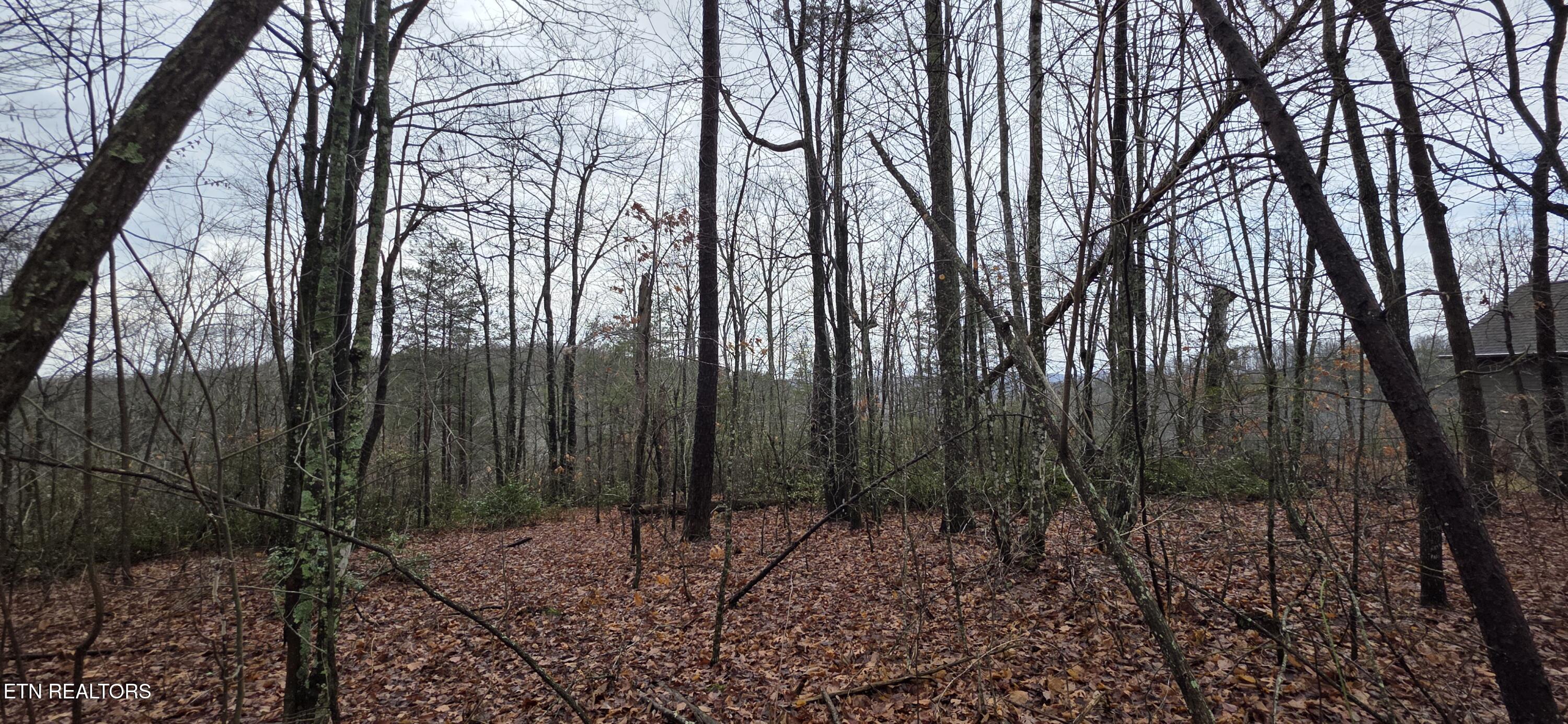 Image 3: 20260109_125941