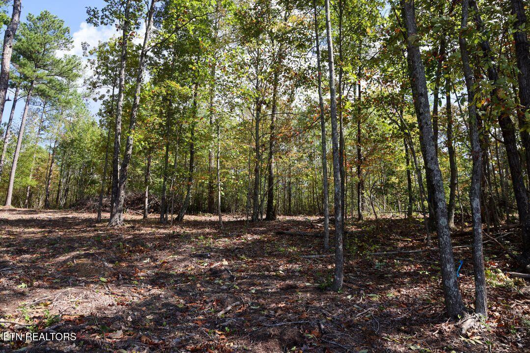Image 4: 4) 61025-688cb953d9b57