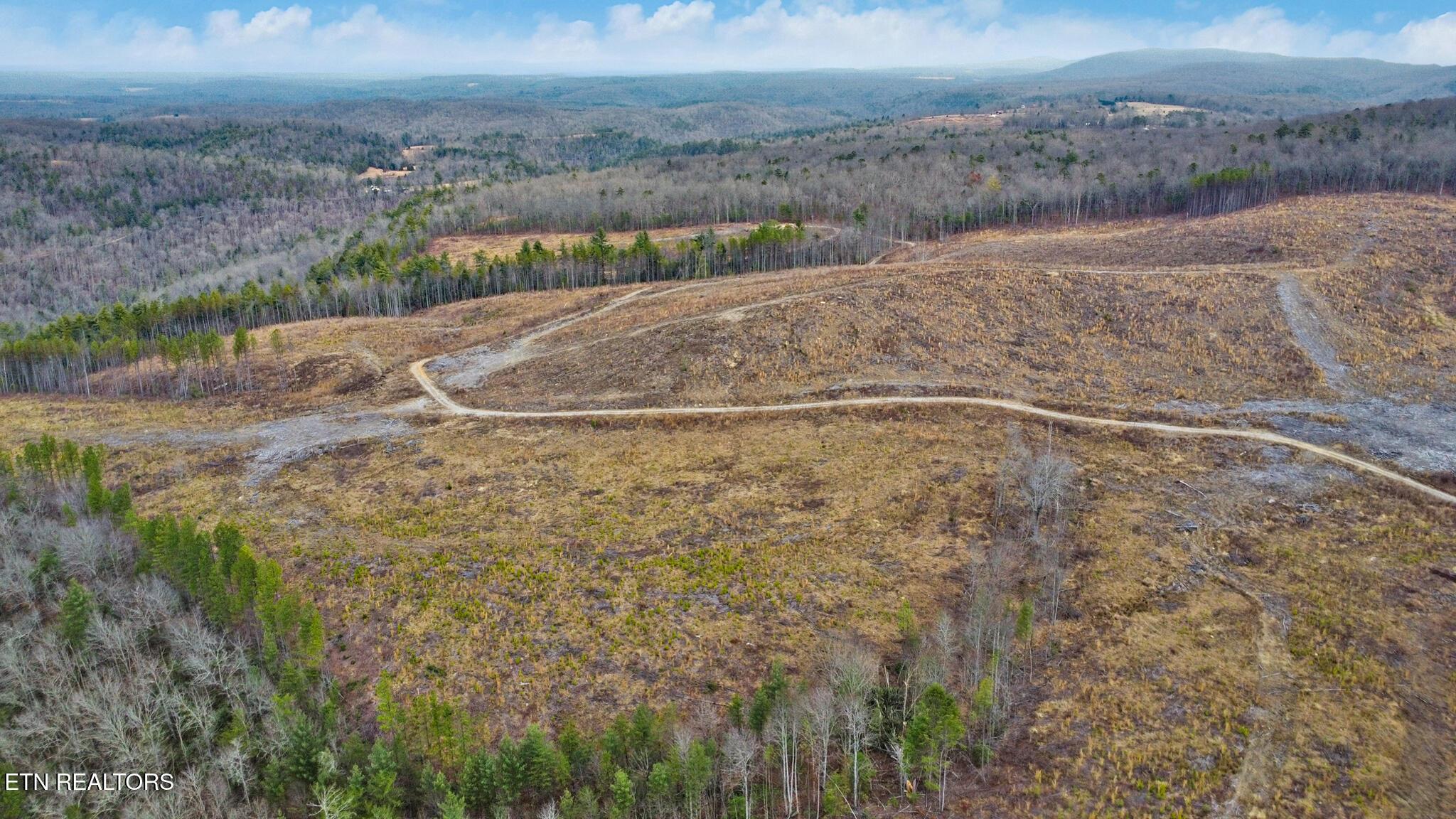 Image 3: Aerial View