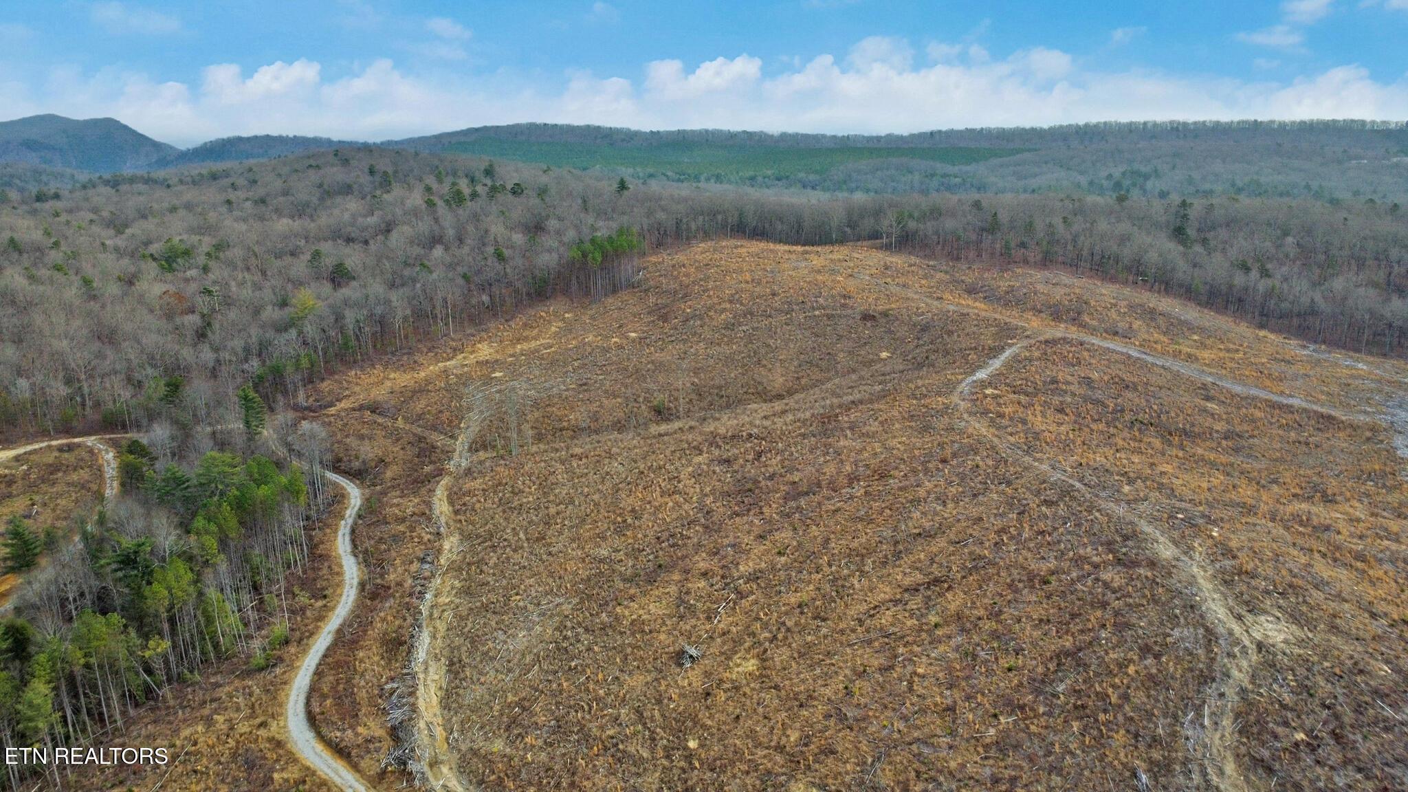 Image 4: Aerial View