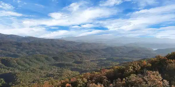 Image 2: 2