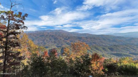 Tract 29R4 Chilhowee Mountain Tr