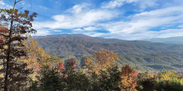 Tract 29R4 Chilhowee Mountain Tr
