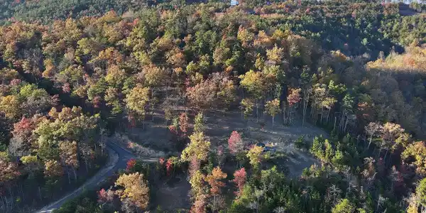 Image 3: 3